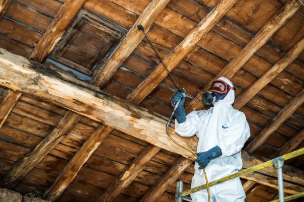 traitement de votre charpente